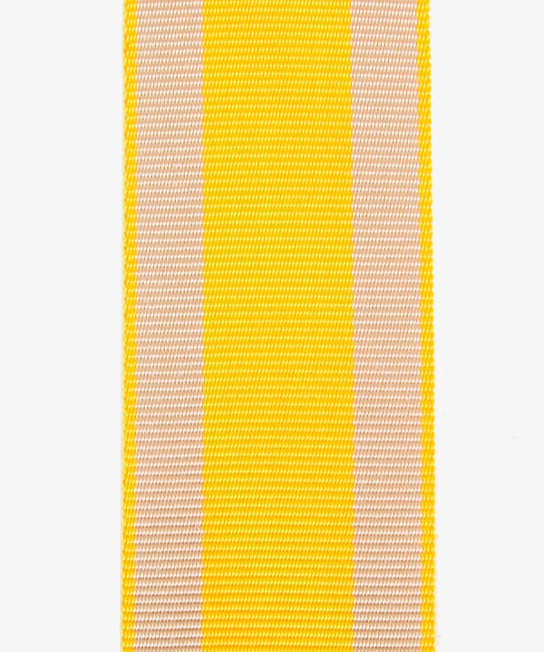 Braunschweig, Waterloo Medal (248)